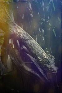 photo of an underwater sea serpent at longwood gardents