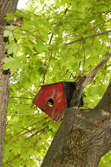 photo of an abandoned birdhouse