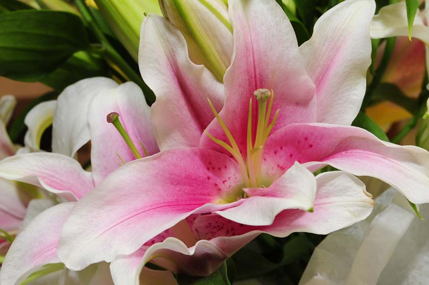 photo of a lily bouquet for a wedding albany ny