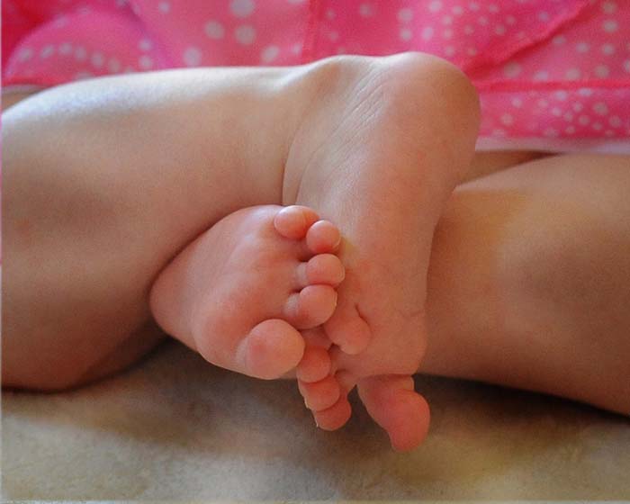 Baby feet at a newborn photo session Albany NY